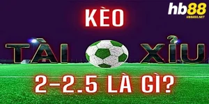 kèo tài xỉu 2-2.5 là gì