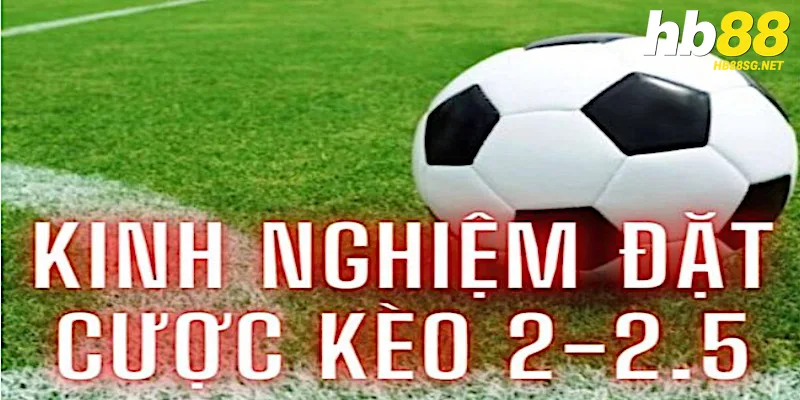 Kinh nghiệm kèo tài xỉu 2-2.5 tại HB88