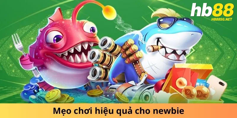 Mẹo chơi hiệu quả cho newbie