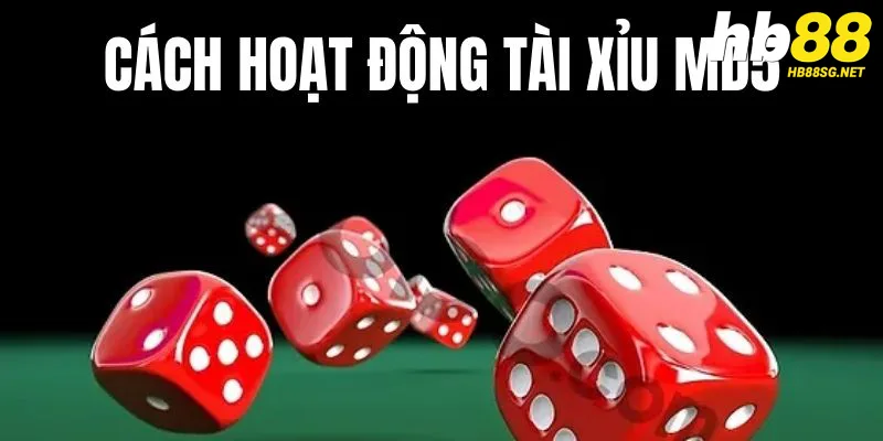 Cách thực hoạt động của game Tài Xỉu MD5 như thế nào?